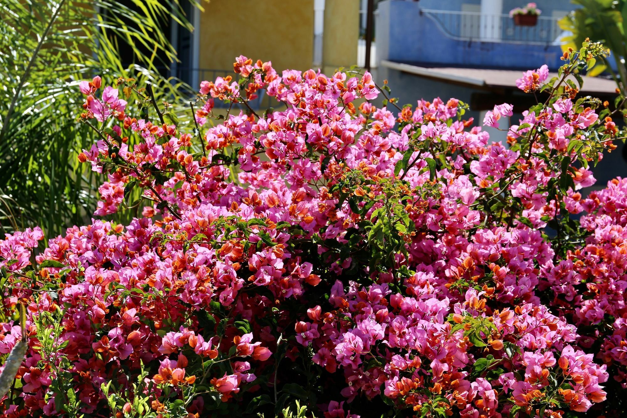 Hotel Bougainville Lipari  Buitenkant foto